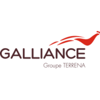 Galliance Logo Transparent